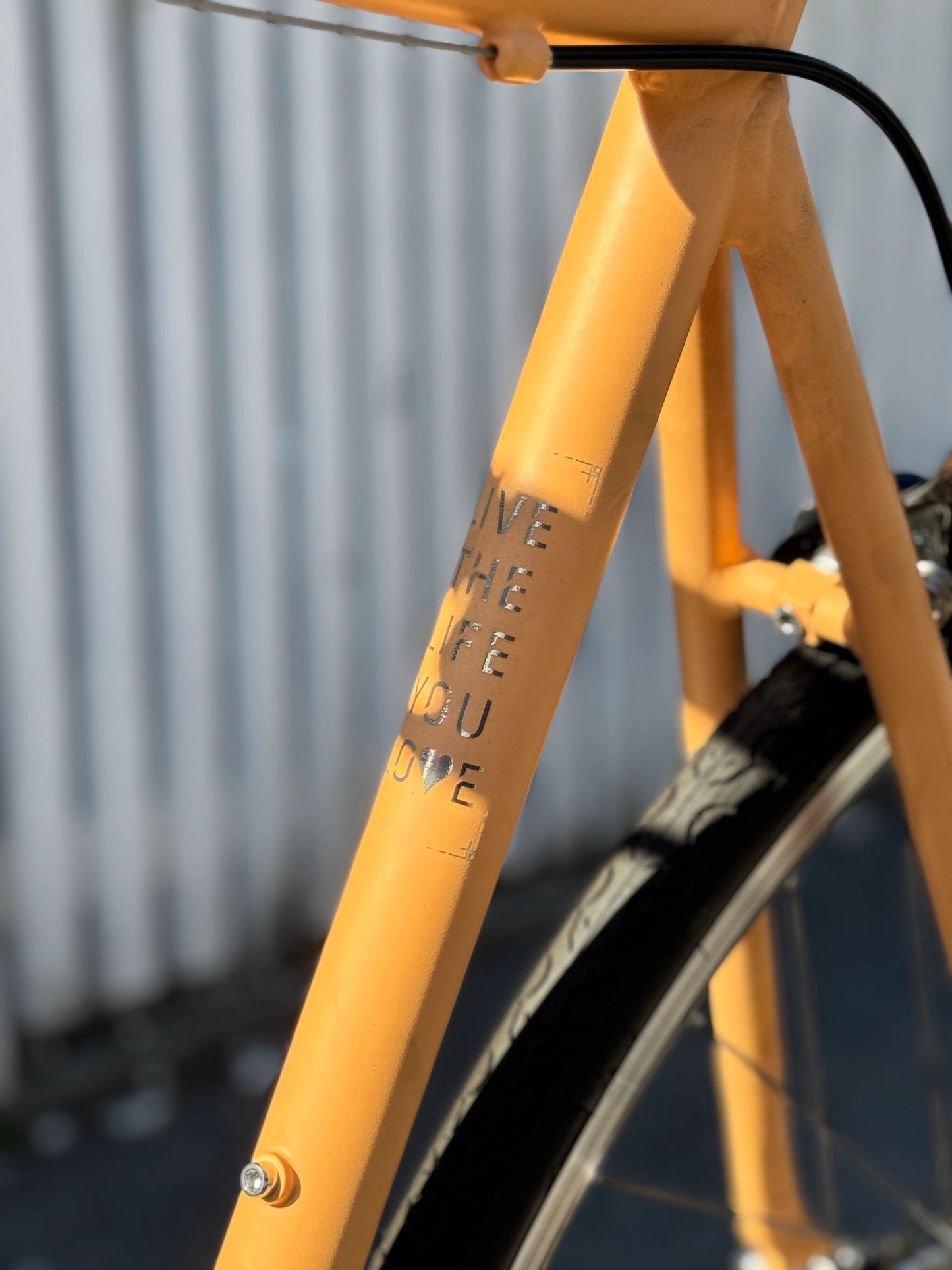 NEXTER Fixie