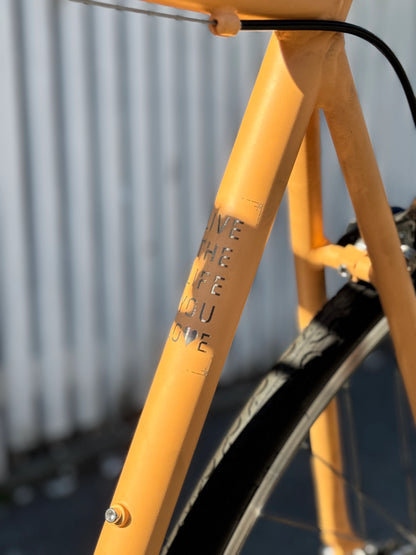NEXTER Fixie